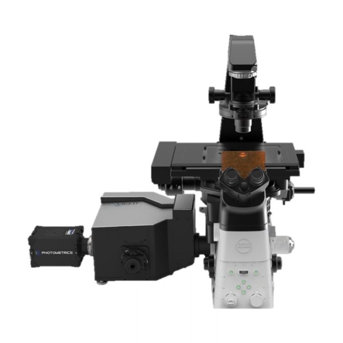 Nikon Crest X-Light V2 LFOV Konfokal mikroskop