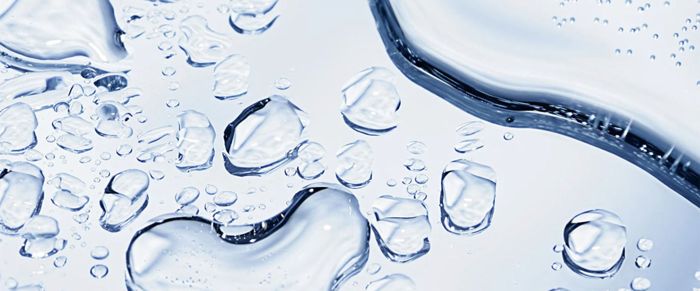 Biolin Attension Seminar