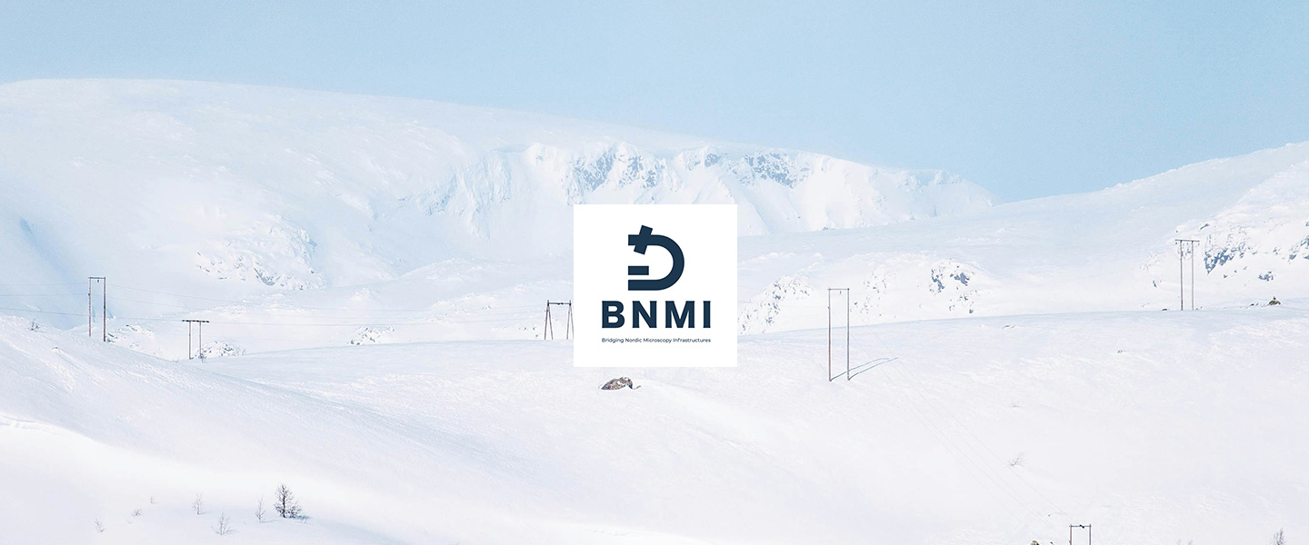 BNMI